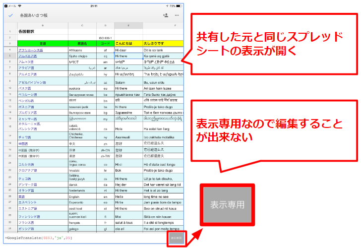 21表示専用