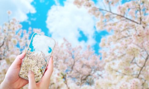 スマホ　桜