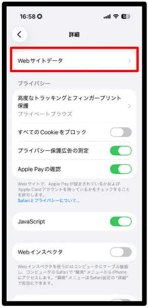 iPhone Safari Webサイトデータ一覧画面